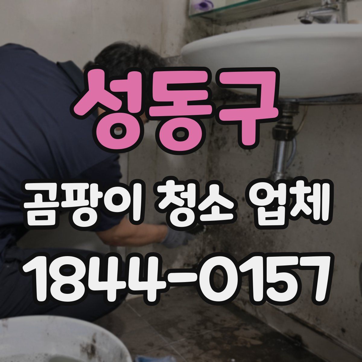 성동구 곰팡이 청소 업체