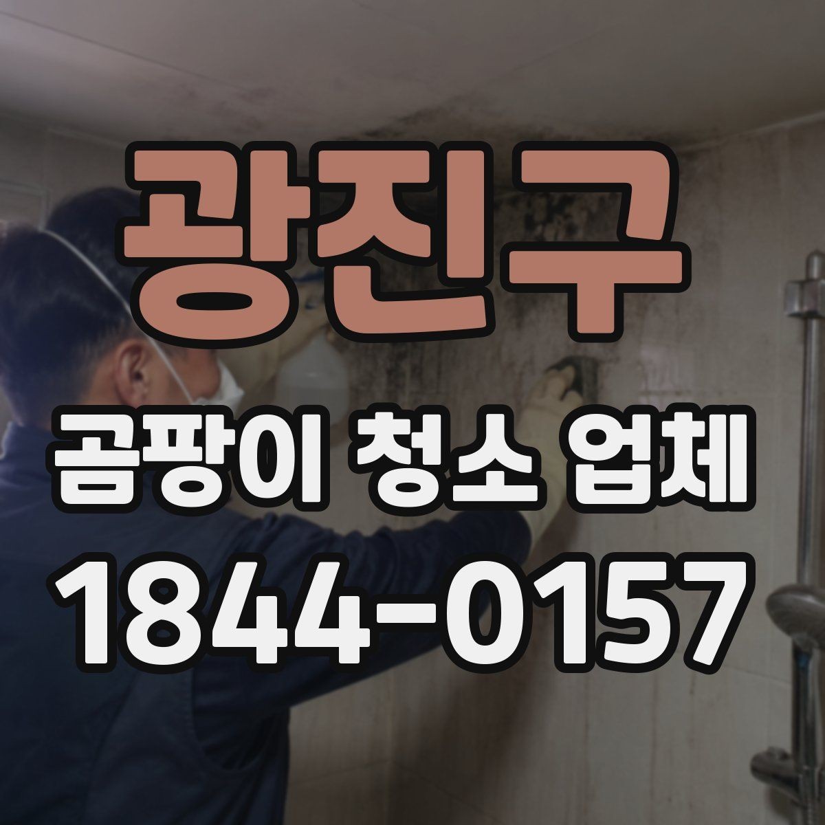 광진구 곰팡이 청소 업체 작업 후 재발을 줄이는 방법
