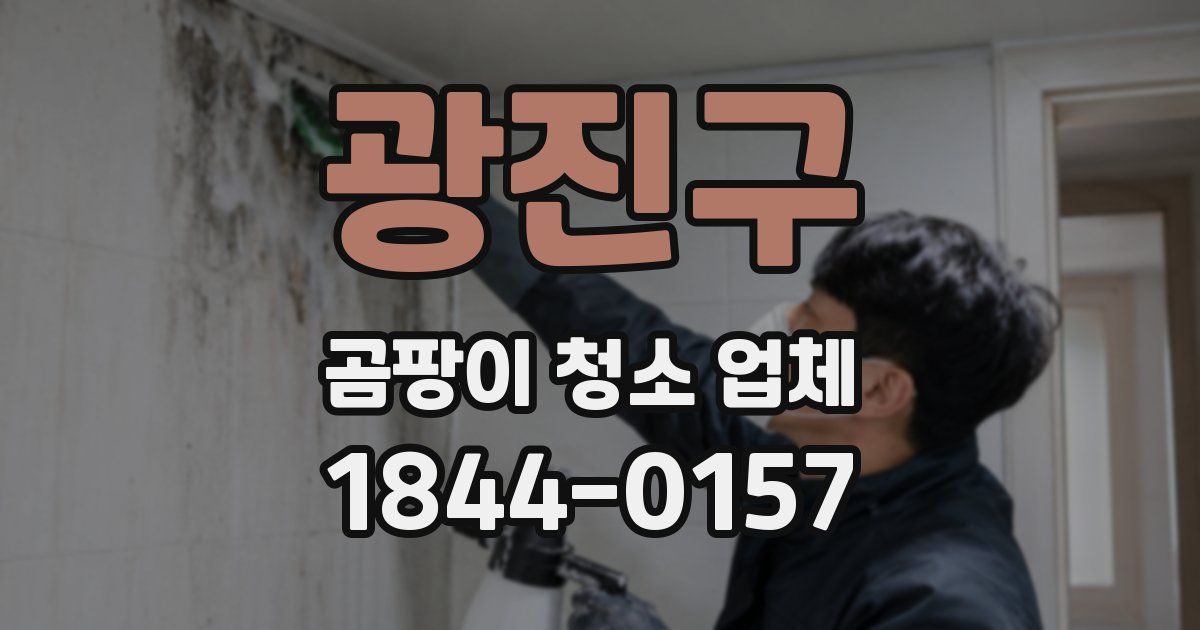 광진구 곰팡이 청소 업체