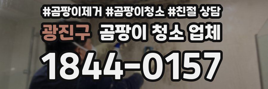 광진구 곰팡이 청소 업체