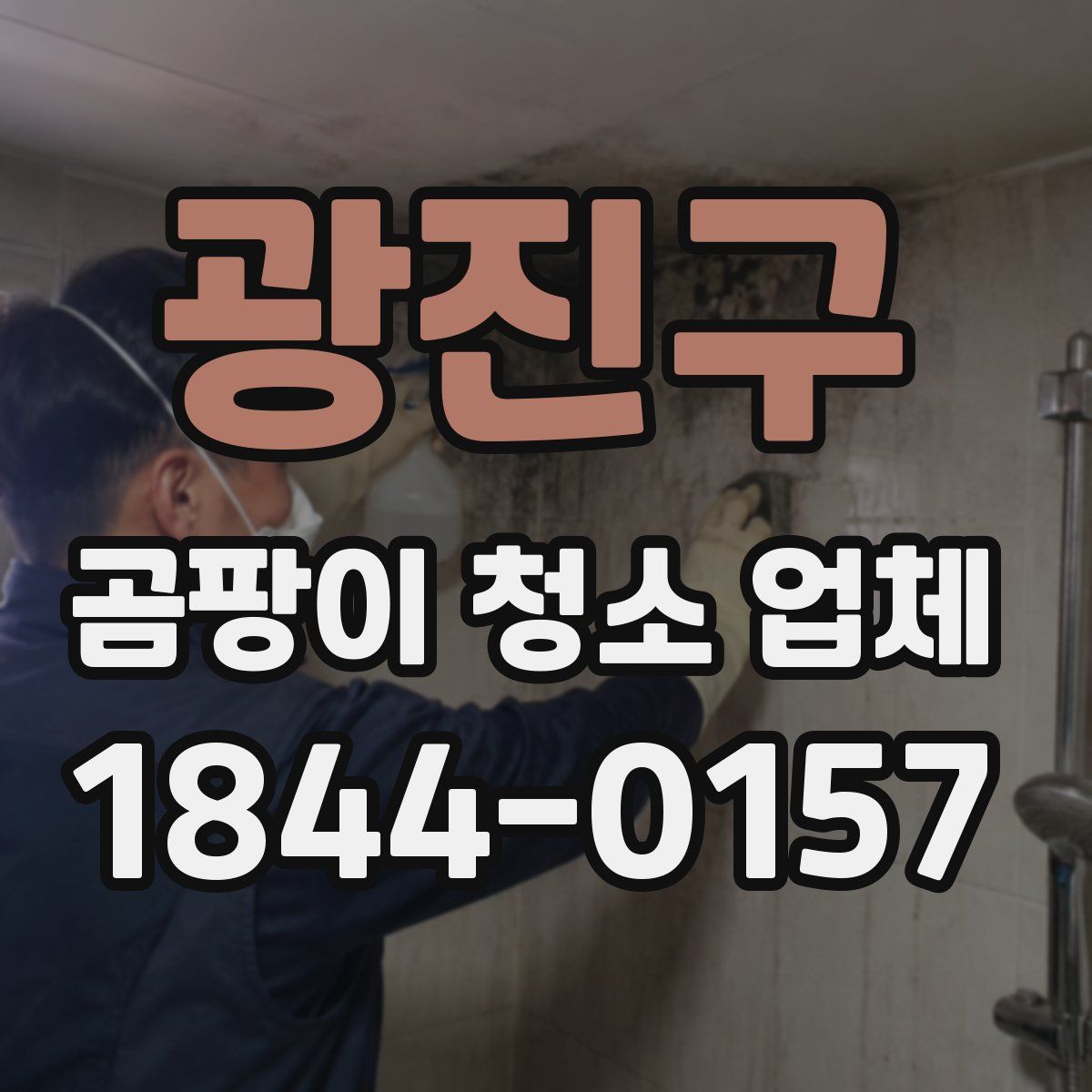 광진구 곰팡이 청소 업체