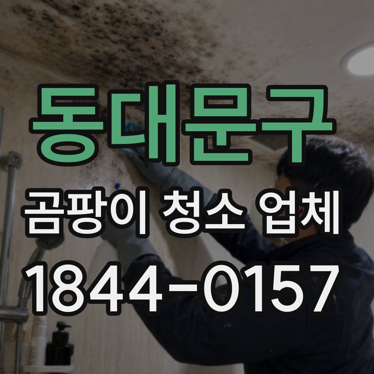동대문구 곰팡이 청소 업체 선택 후 만족도를 높이는 방법