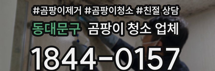 동대문구 곰팡이 청소 업체