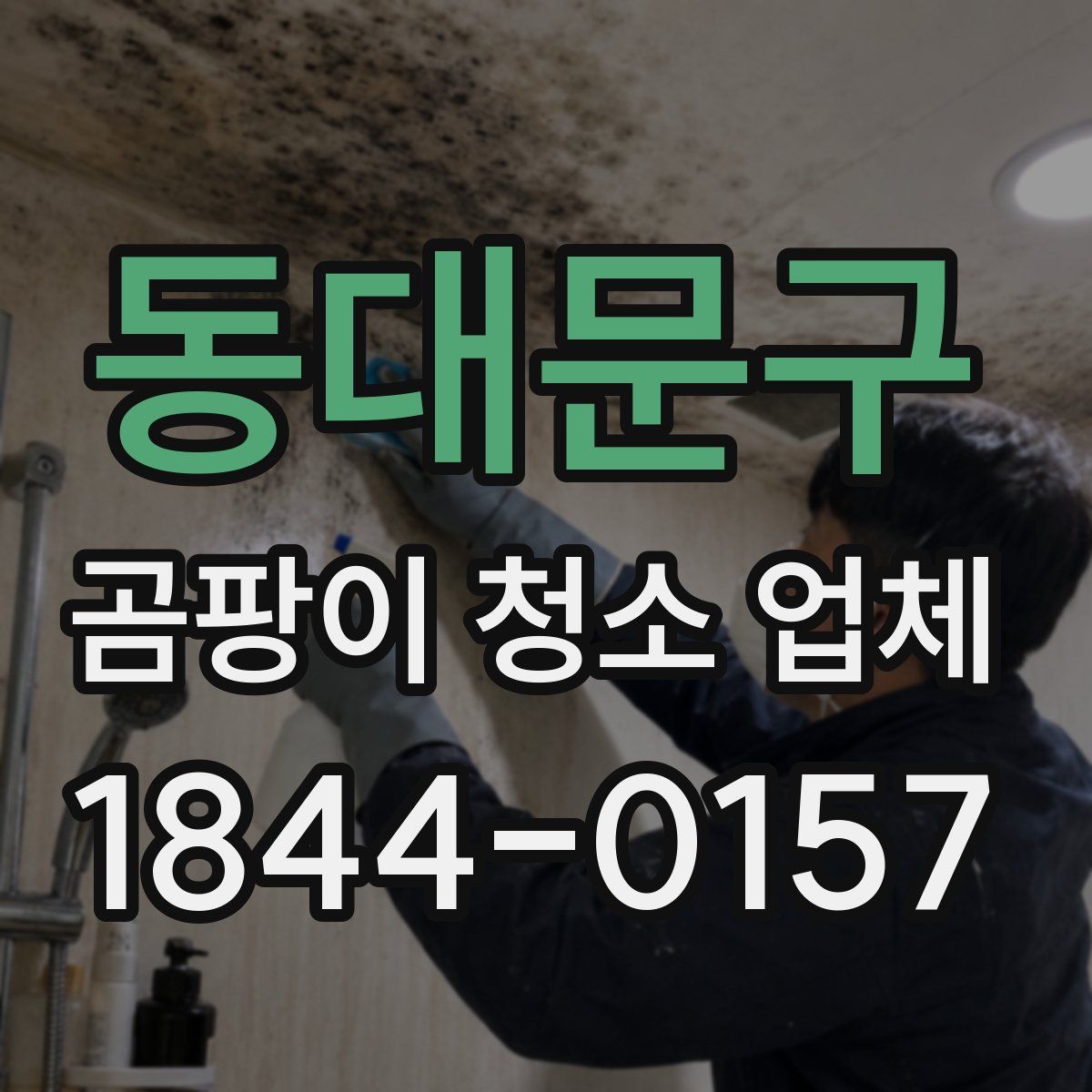 동대문구 곰팡이 청소 업체