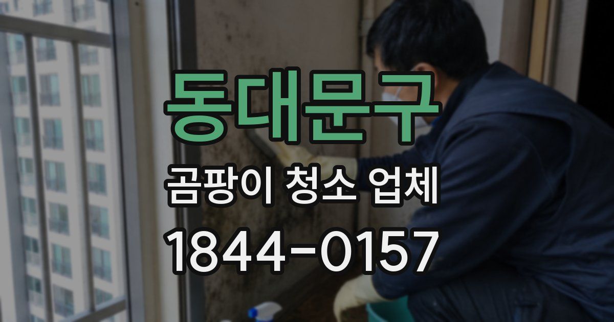 동대문구 곰팡이 청소 업체