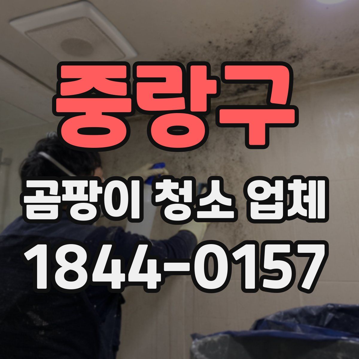 중랑구 곰팡이 청소 업체
