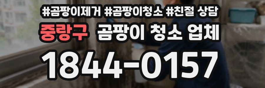 중랑구 곰팡이 청소 업체