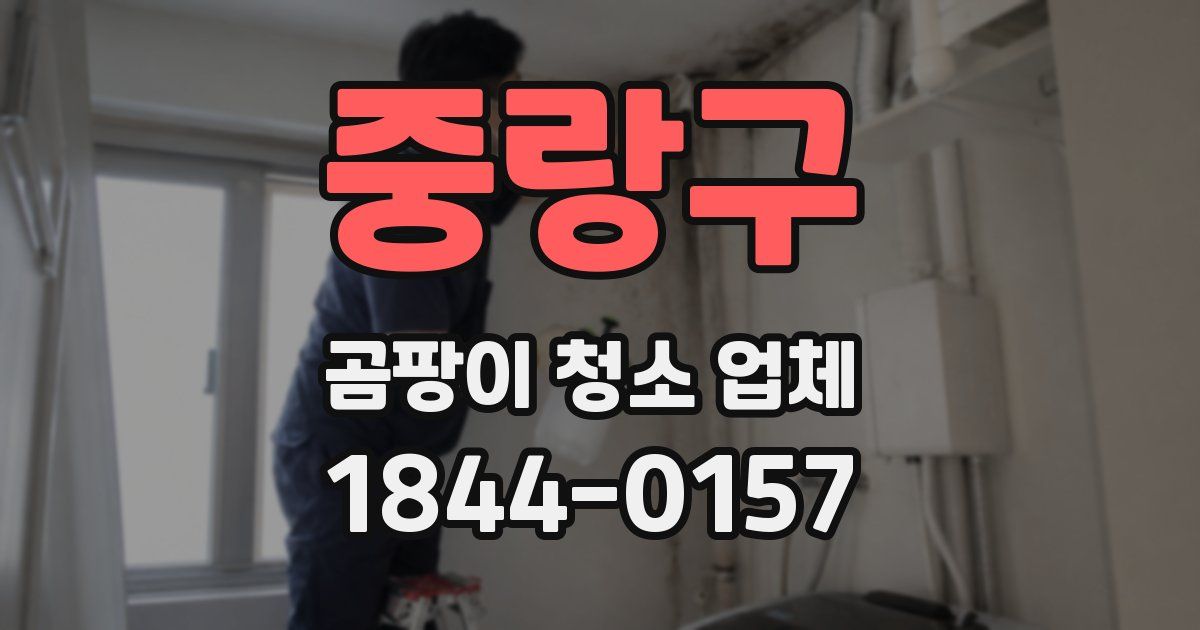 중랑구 곰팡이 청소 업체