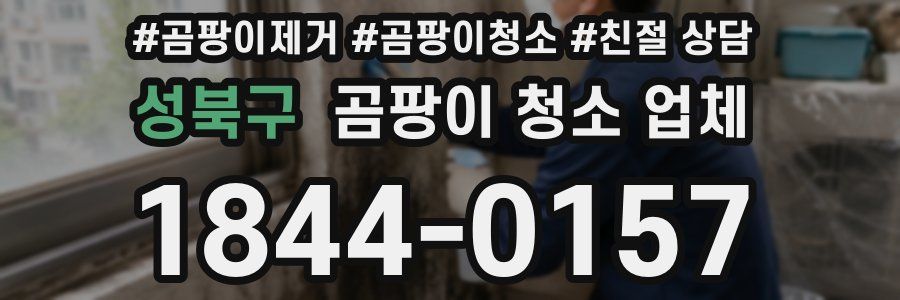 성북구 곰팡이 청소 업체