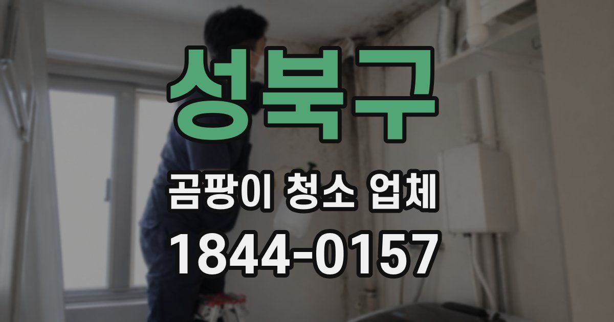 성북구 곰팡이 청소 업체