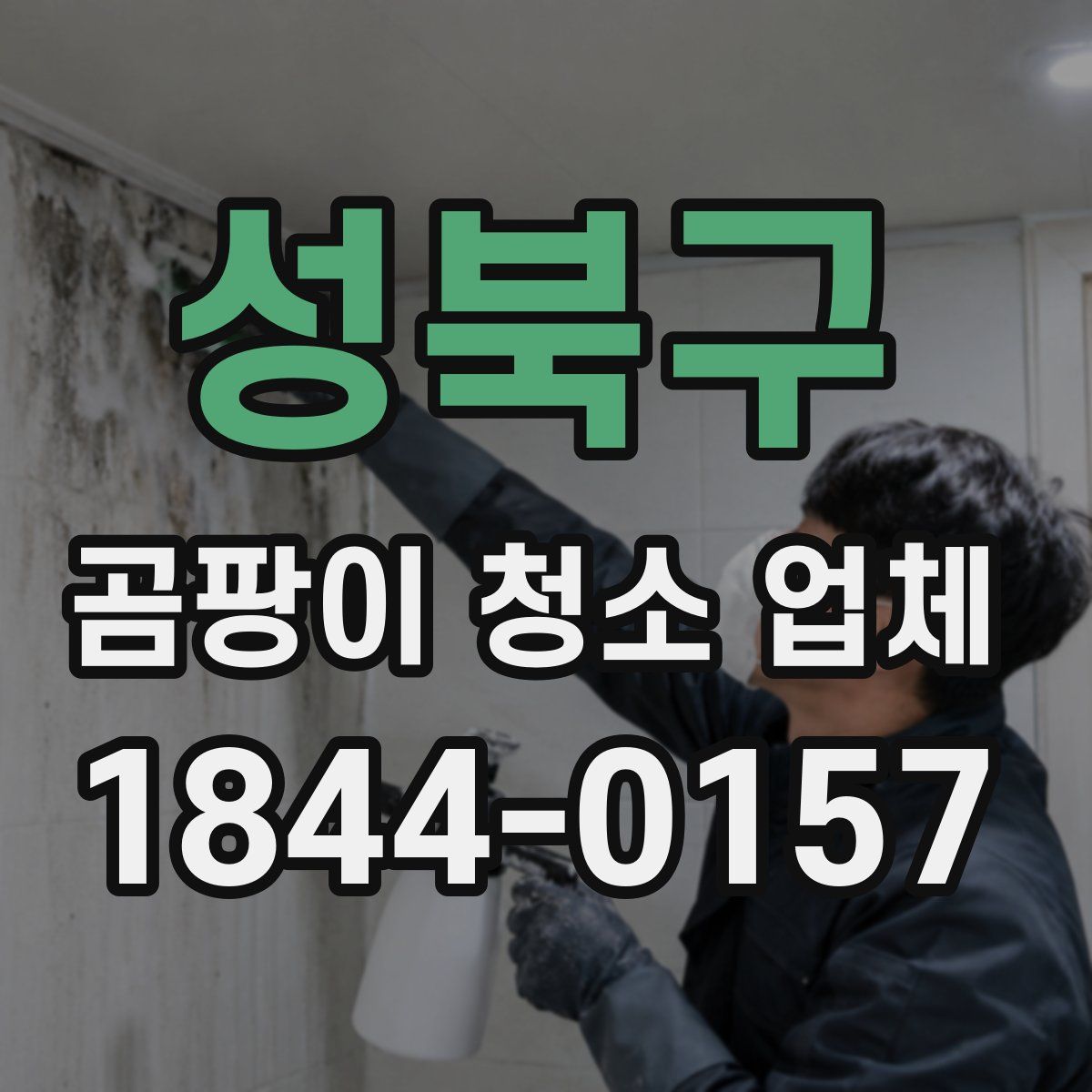 성북구 곰팡이 청소 업체