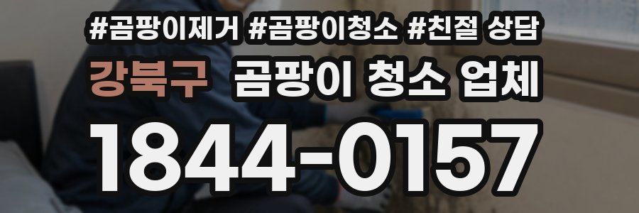 강북구 곰팡이 청소 업체