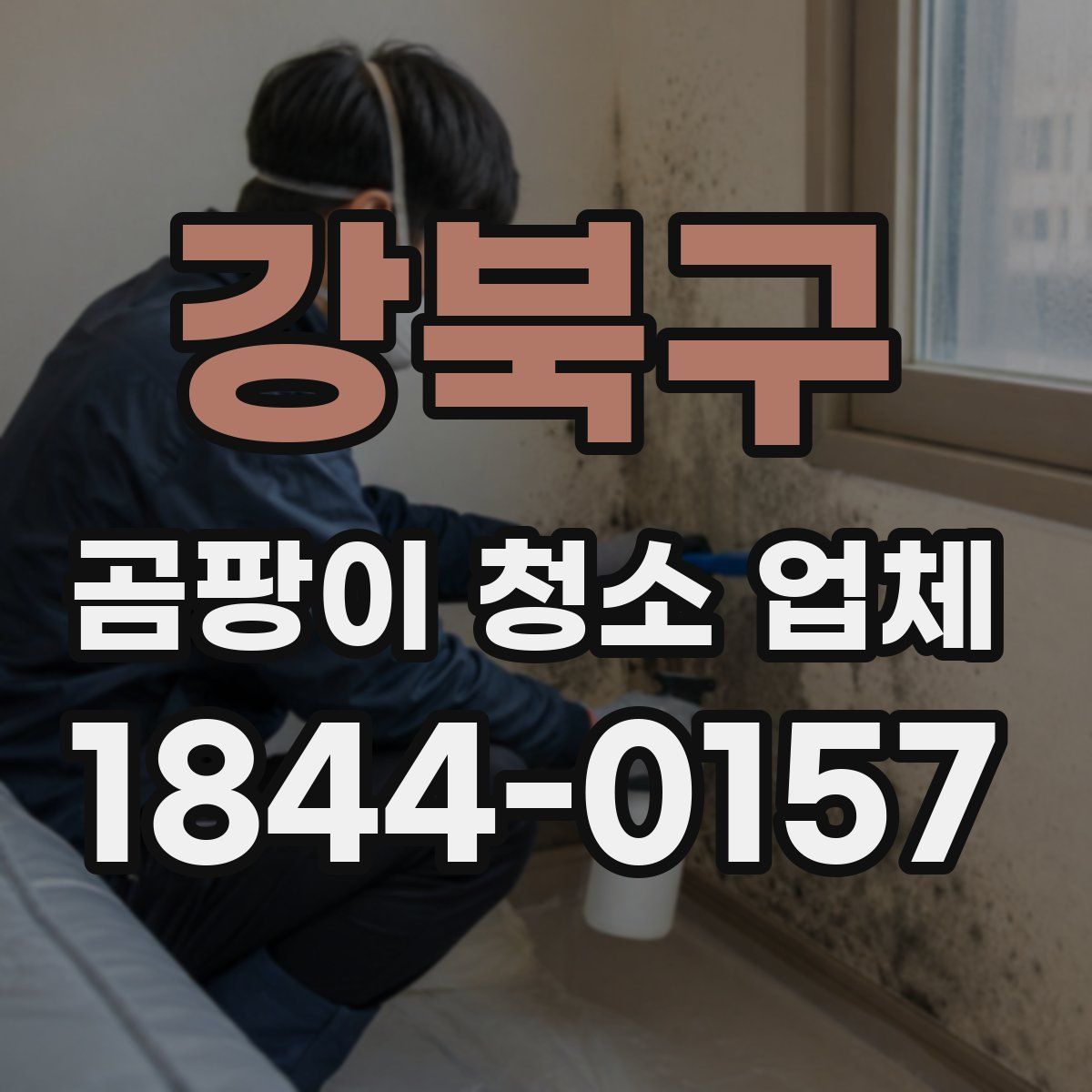 강북구 곰팡이 청소 업체
