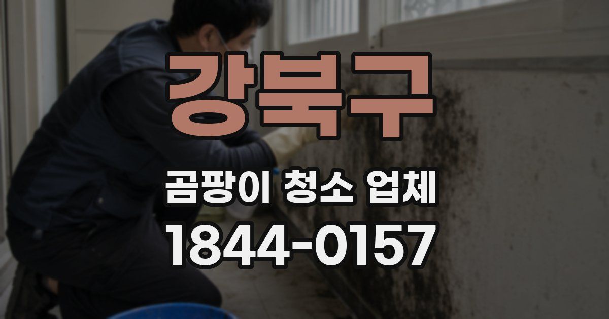 강북구 곰팡이 청소 업체