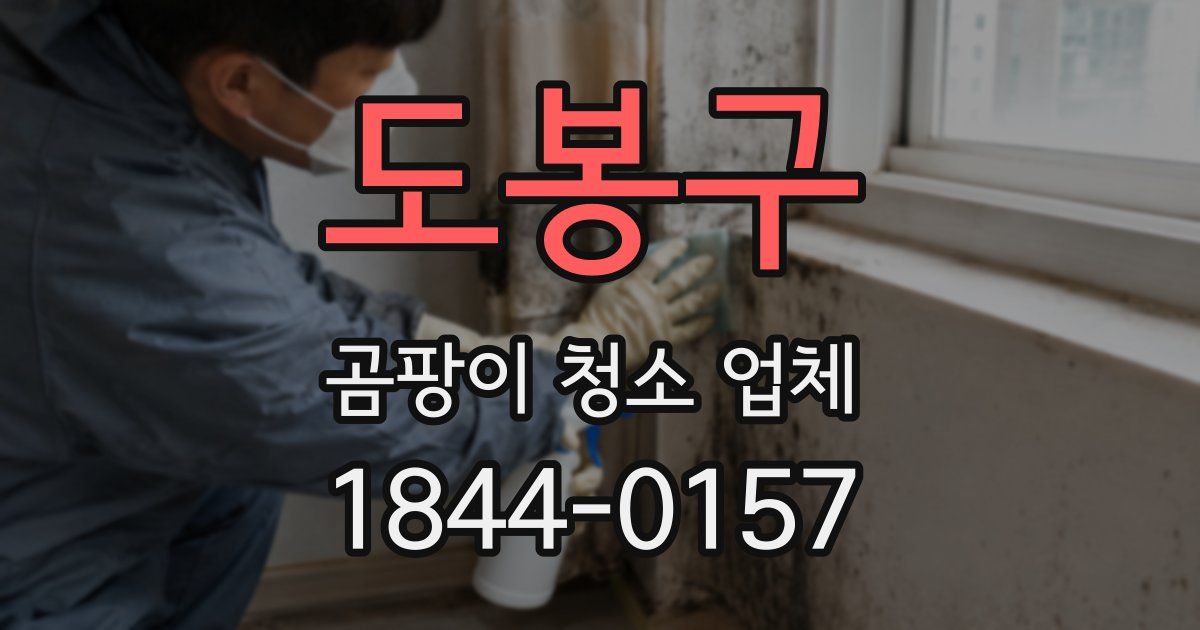 도봉구 곰팡이 청소 업체