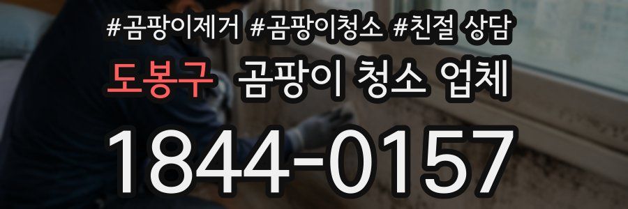 도봉구 곰팡이 청소 업체