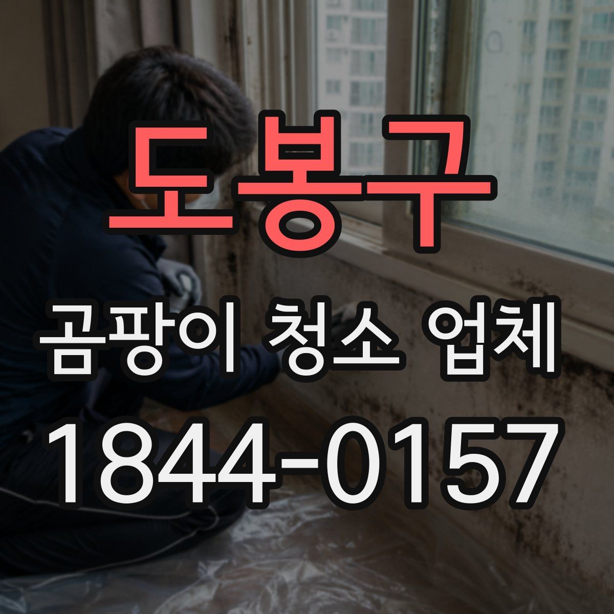 도봉구 곰팡이 청소 업체
