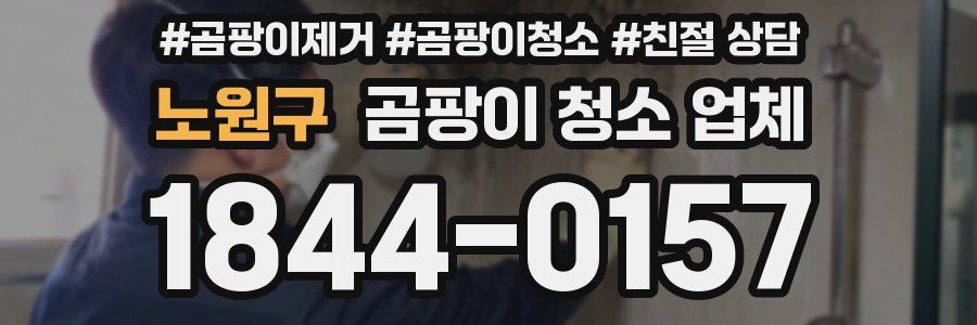 노원구 곰팡이 청소 업체