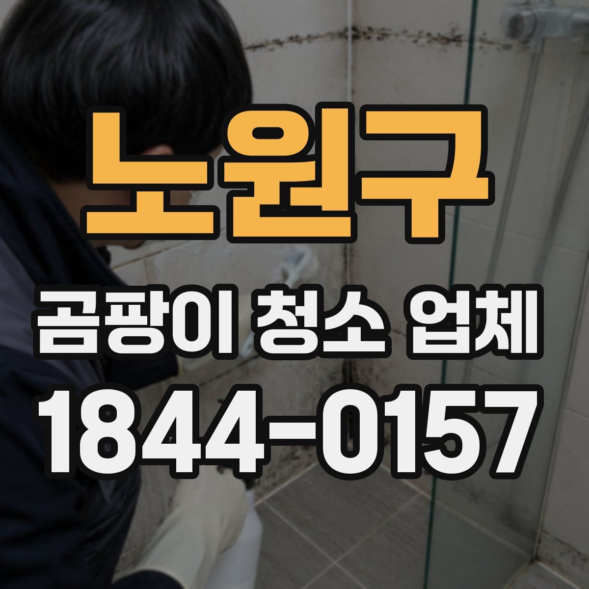 노원구 곰팡이 청소 업체