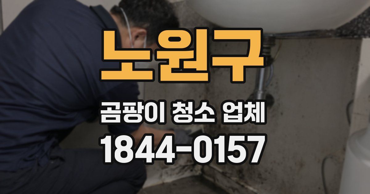 노원구 곰팡이 청소 업체