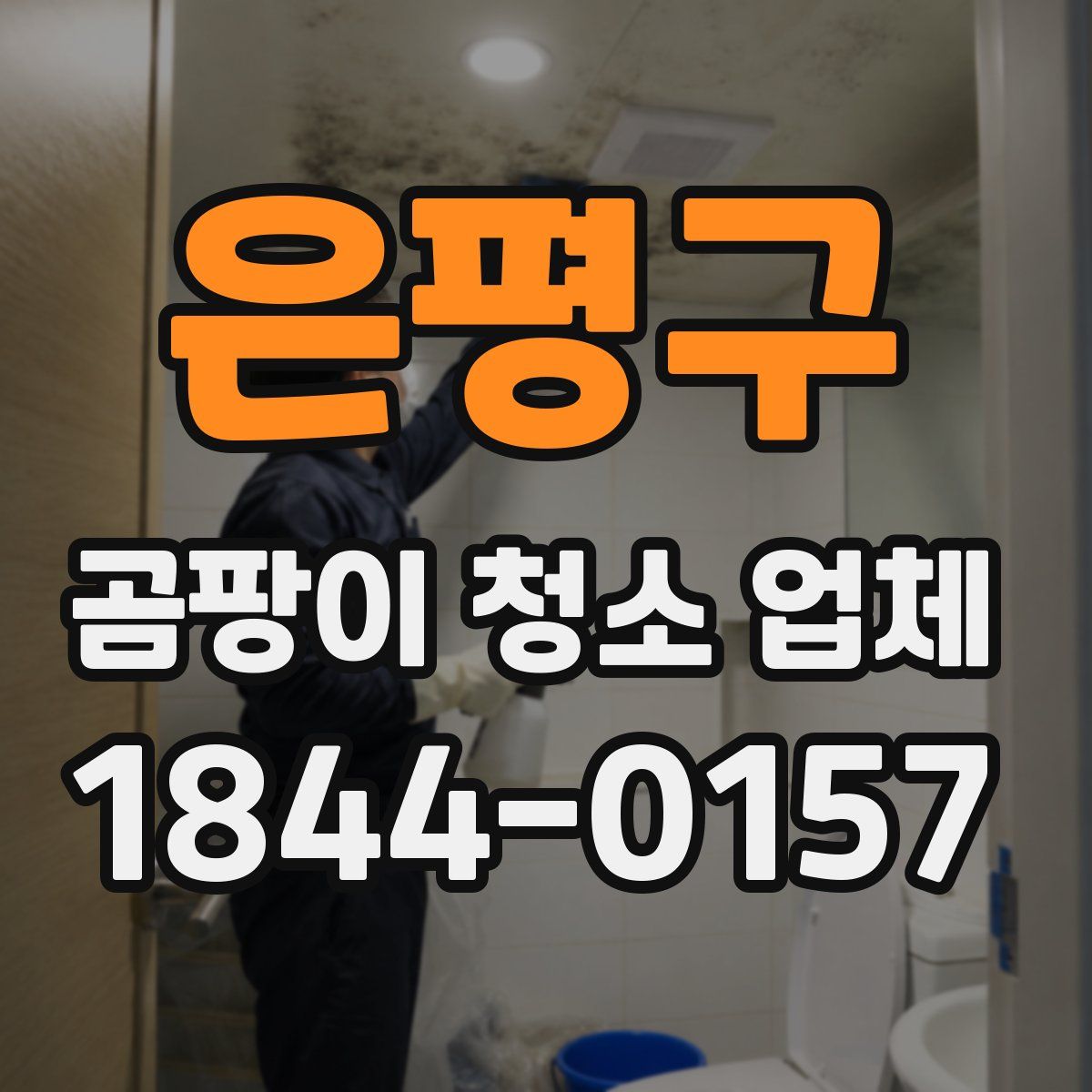 은평구 곰팡이 청소 업체