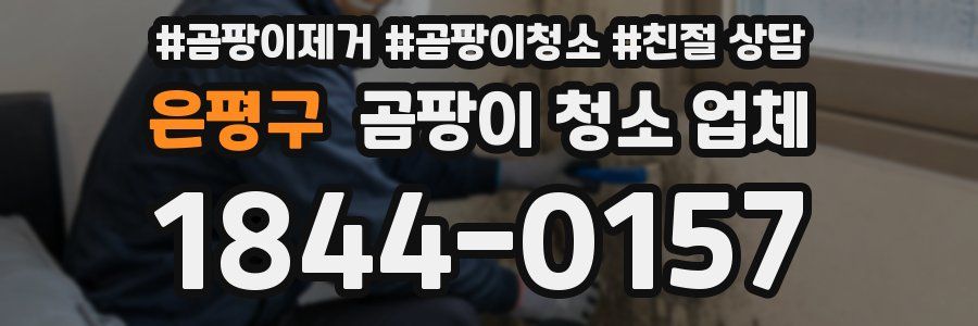 은평구 곰팡이 청소 업체