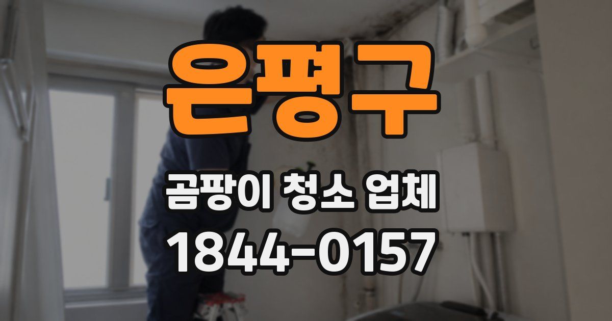 은평구 곰팡이 청소 업체