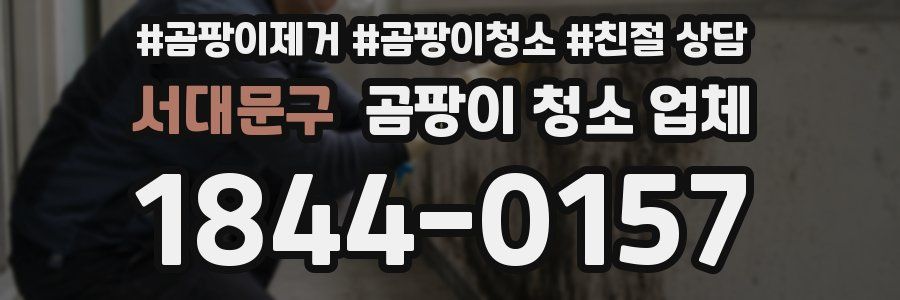 서대문구 곰팡이 청소 업체
