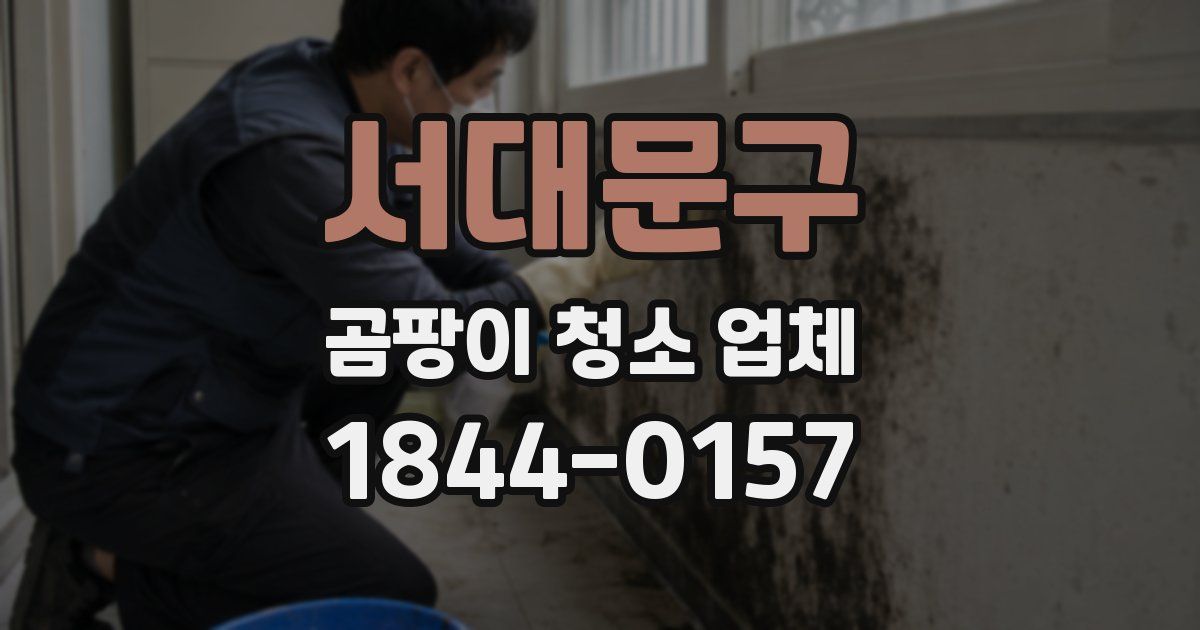서대문구 곰팡이 청소 업체