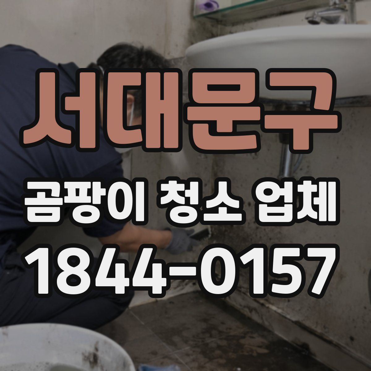 서대문구 곰팡이 청소 업체