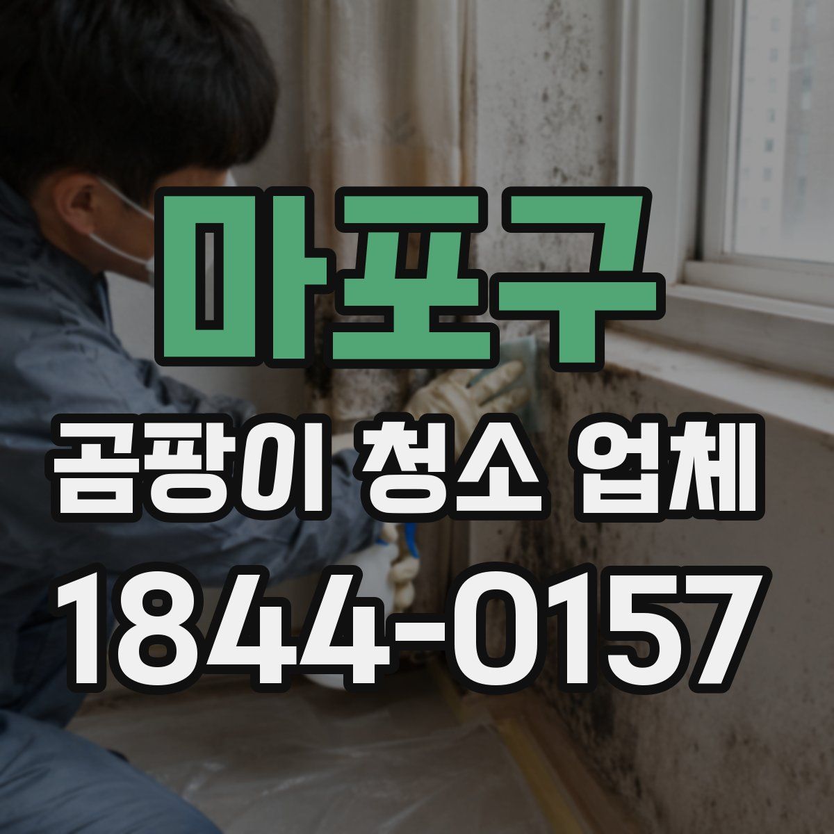 마포구 곰팡이 청소 업체