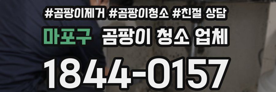 마포구 곰팡이 청소 업체
