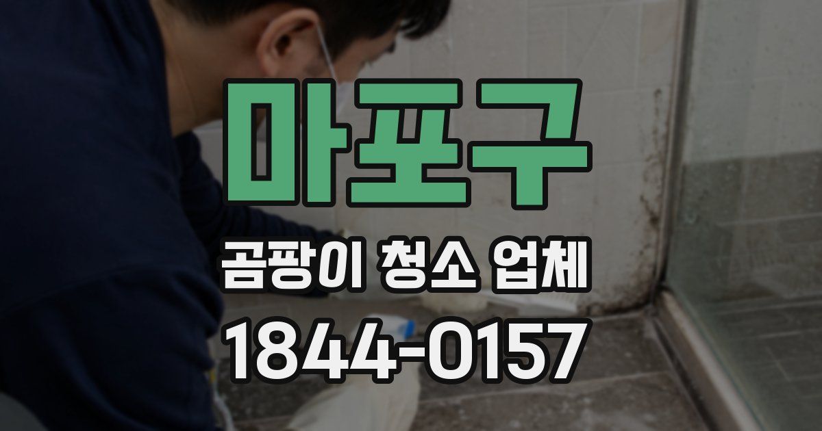 마포구 곰팡이 청소 업체