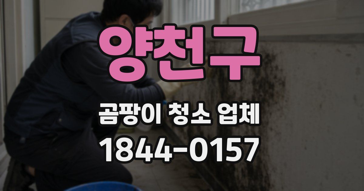 양천구 곰팡이 청소 업체