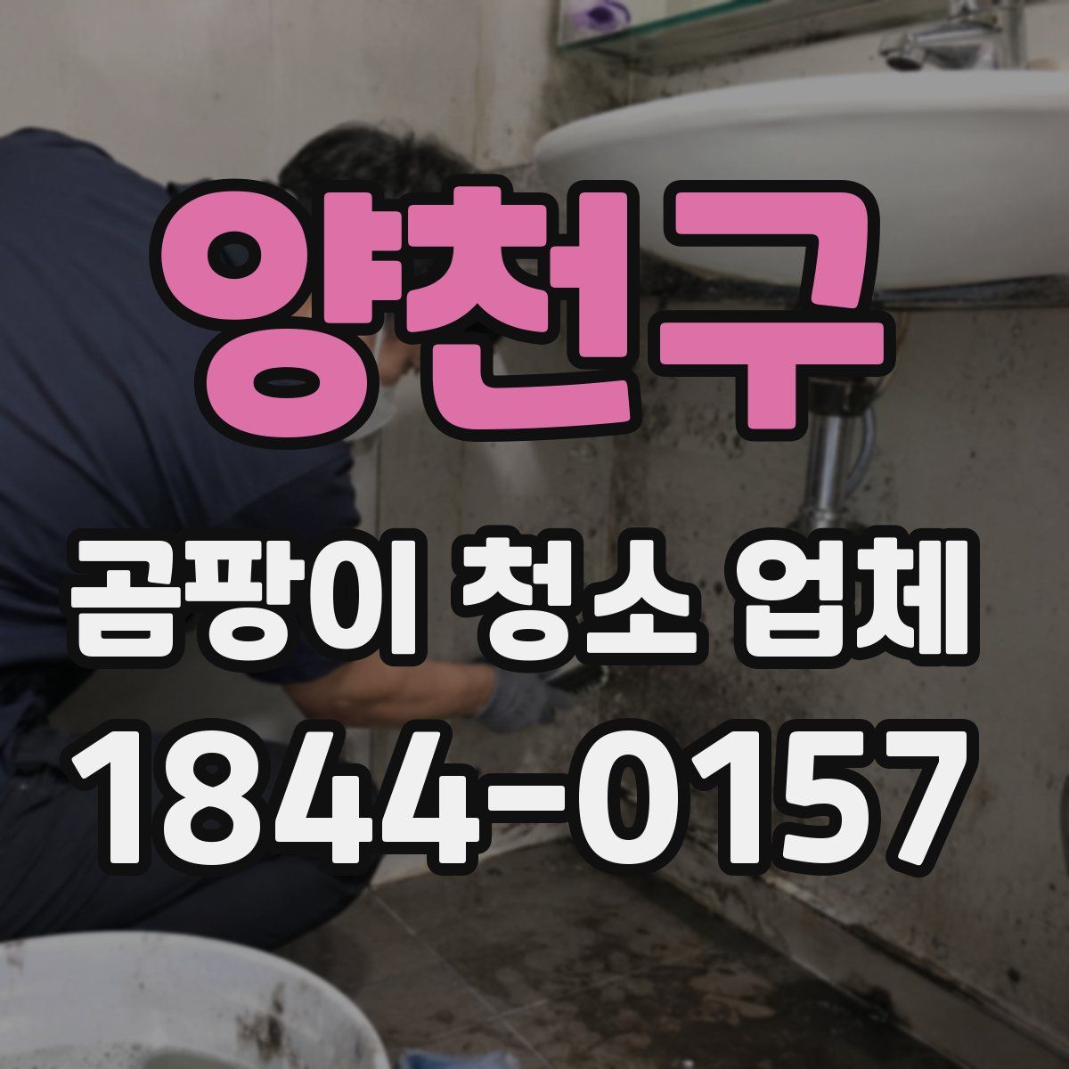 양천구 곰팡이 청소 업체