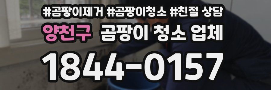 양천구 곰팡이 청소 업체