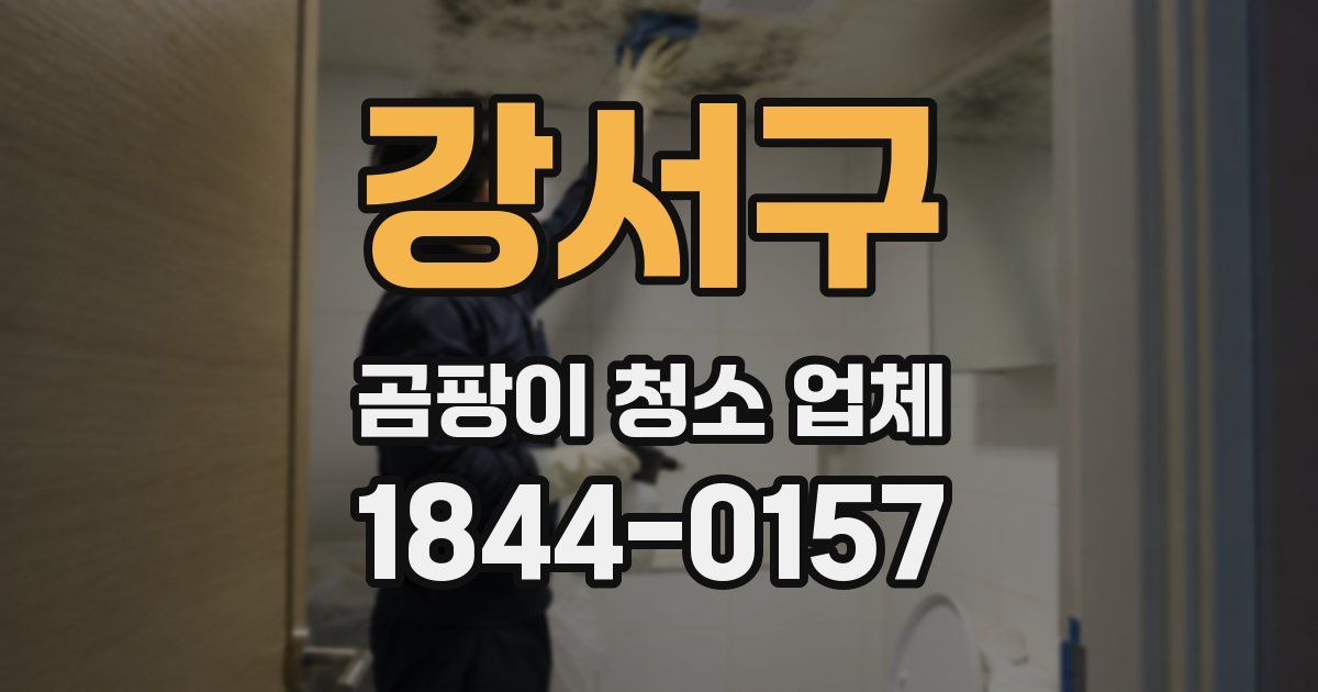 강서구 곰팡이 청소 업체