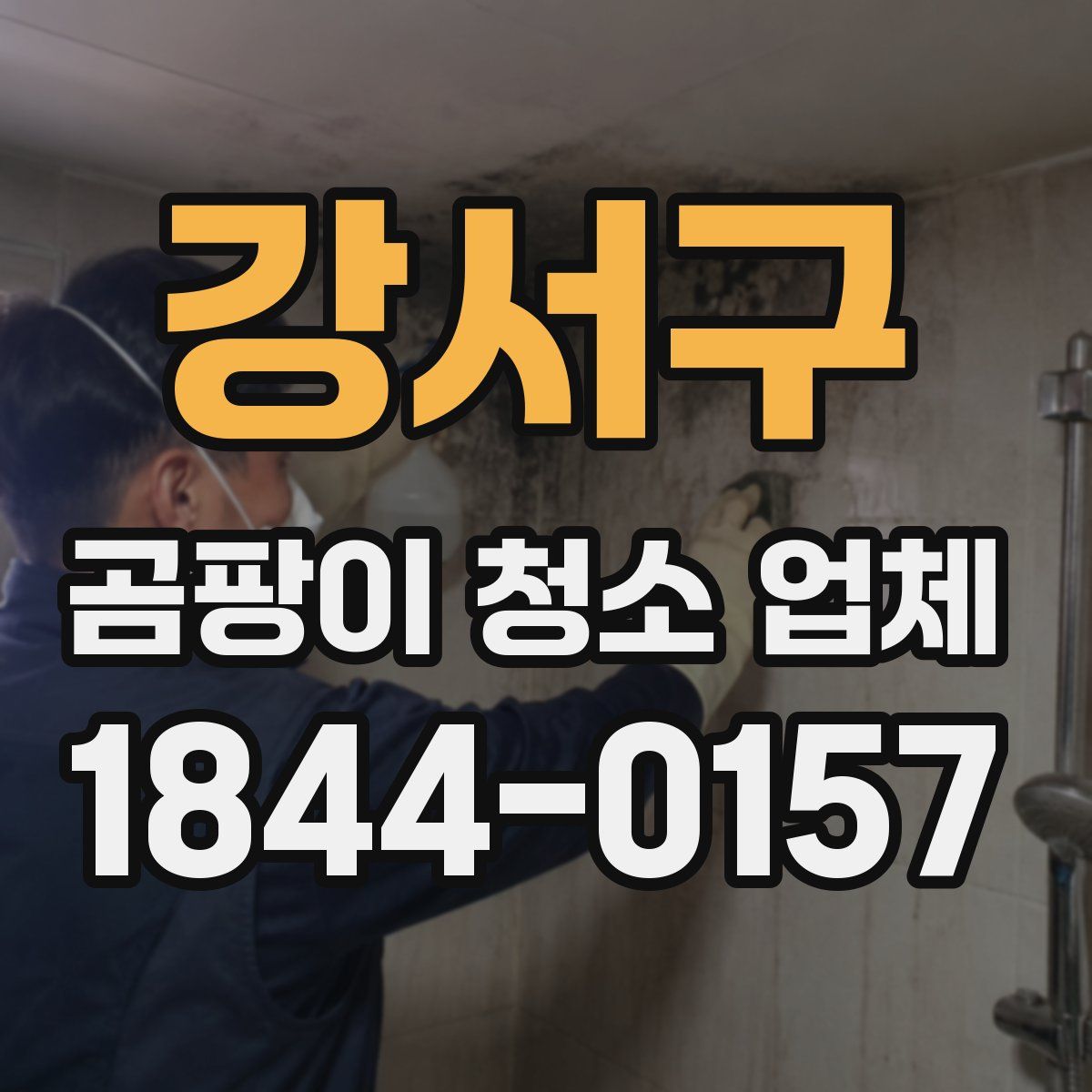 강서구 곰팡이 청소 업체