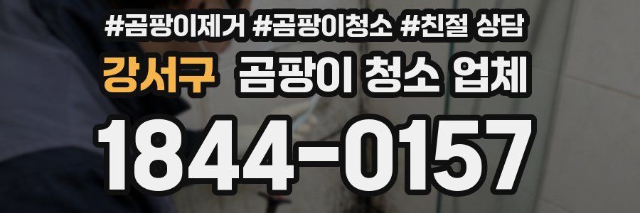 강서구 곰팡이 청소 업체
