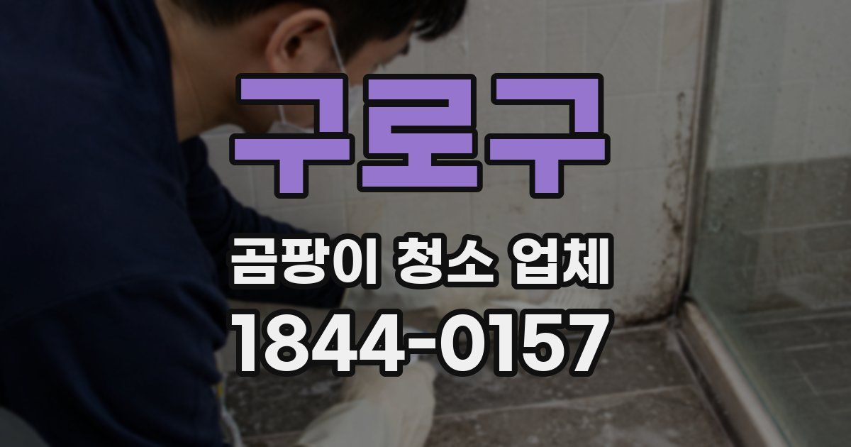 구로구 곰팡이 청소 업체