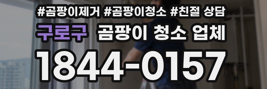 구로구 곰팡이 청소 업체