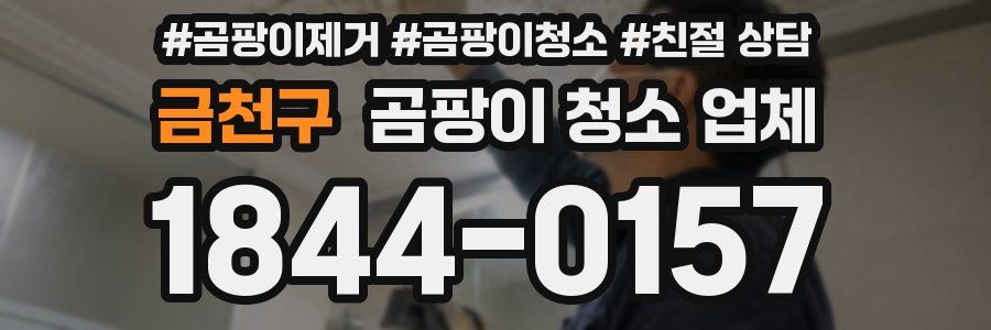 금천구 곰팡이 청소 업체