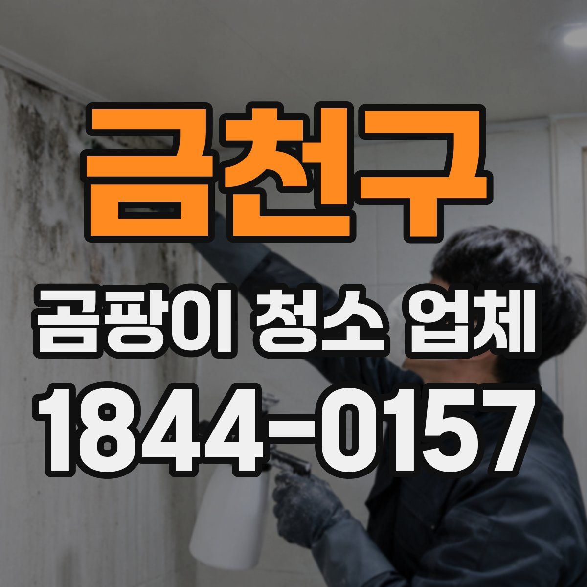 금천구 곰팡이 청소 업체
