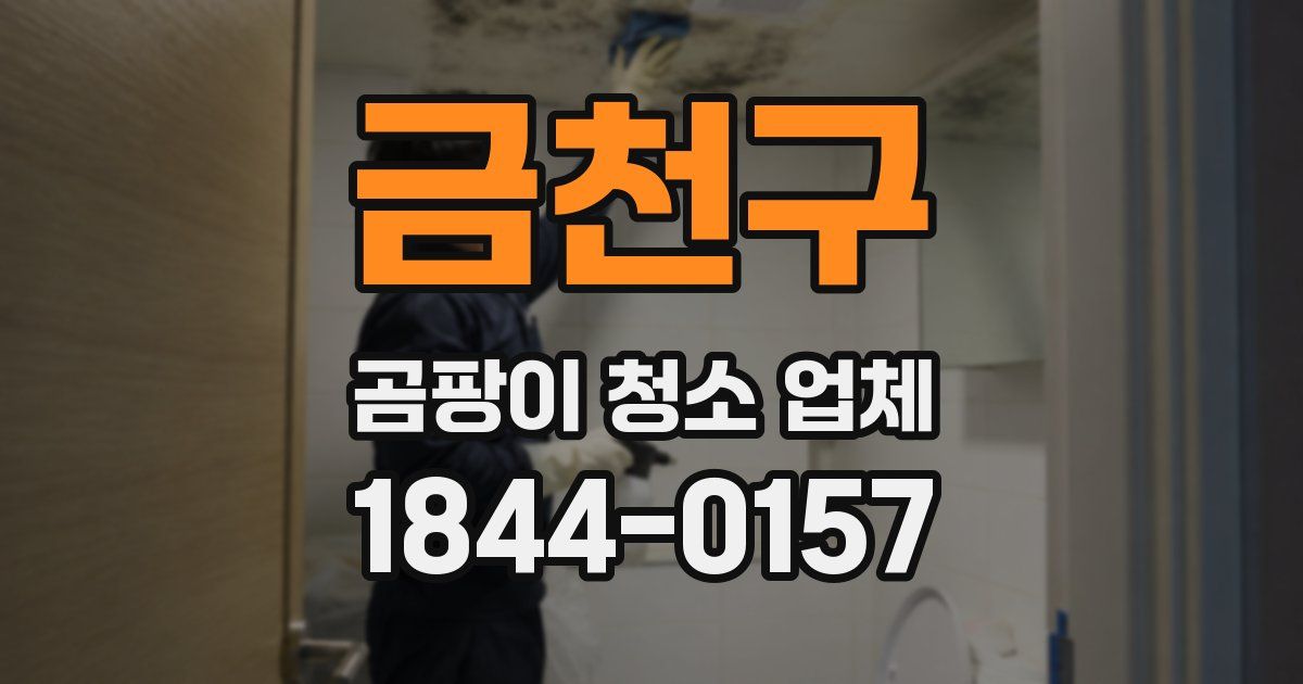금천구 곰팡이 청소 업체