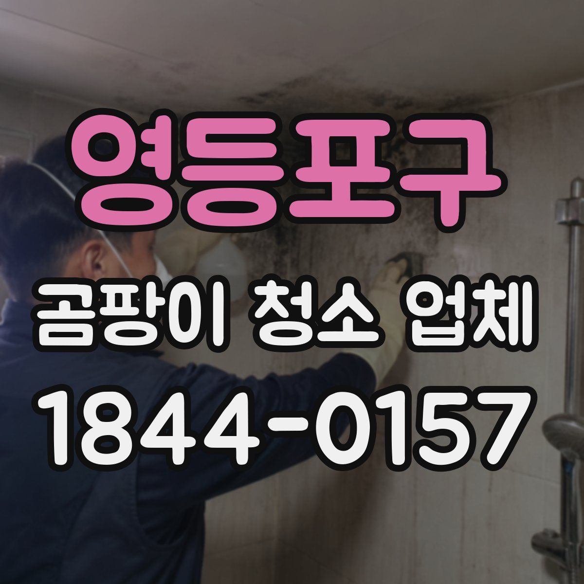 영등포구 곰팡이 청소 업체