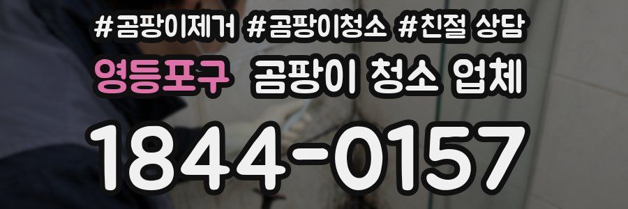 영등포구 곰팡이 청소 업체