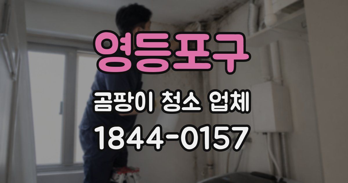 영등포구 곰팡이 청소 업체