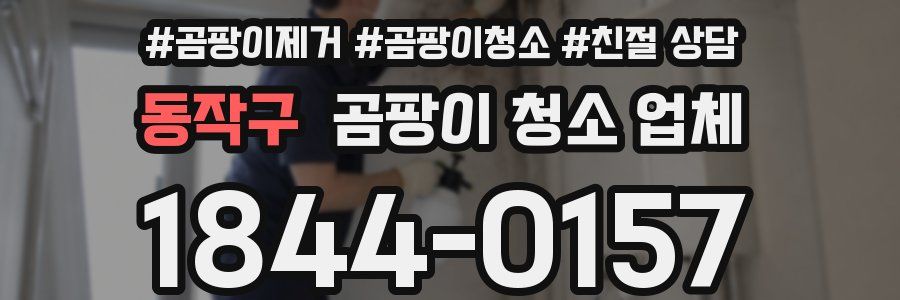동작구 곰팡이 청소 업체