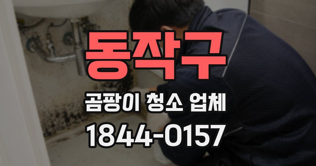 동작구 곰팡이 청소 업체
