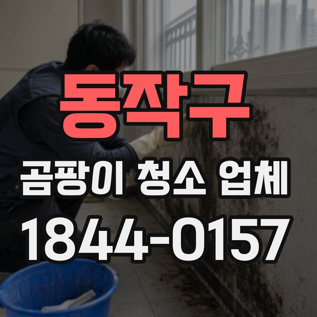 동작구 곰팡이 청소 업체